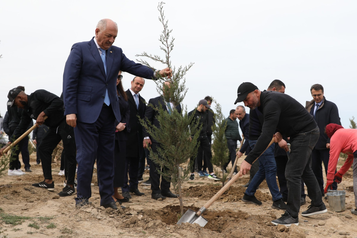 “Qarabağ”dan ağacəkmə aksiyası - FOTOSESSİYA 