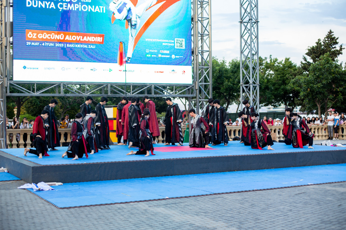 Bakıda taekvondo festivalı - FOTOLENT 